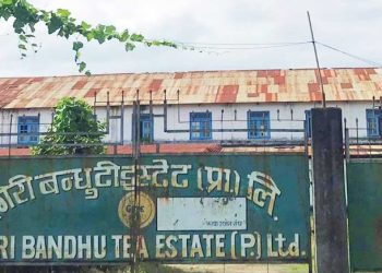 सबै दलको सहमति छ, अनावश्यक प्रचार नगरे हुन्छः गिरीबन्धु टी-स्टेट