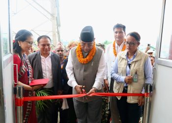 दीर्घकालीन विद्युत व्यापार सम्झौता कार्यान्वयन हुँदैछः प्रधानमन्त्री(भिडियोसहित)