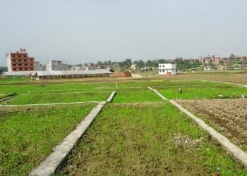 यस्तो छ काठमाडौंमा जग्गाको मूल्यांकन, सडक नपुगेको ठाउँको मूल्य प्रतिआना ४ लाख
