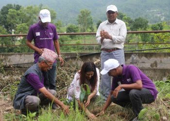 एनसेलको अगुवाइमा ‘वन युथ वन प्लान्ट’ अभियान शुरु
