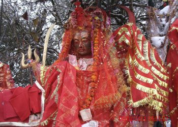 पाथीभरामा करिब चार करोड भेटी संकलन