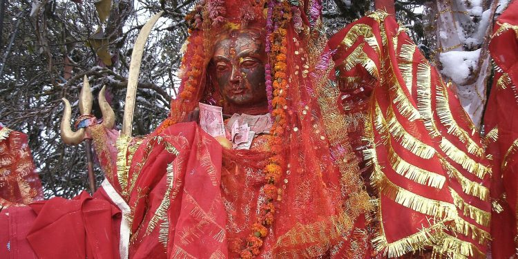 पाथीभरामा करिब चार करोड भेटी संकलन