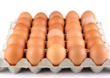 बढ्यो अण्डाको भाउ