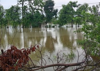 कैलालीमा बाढी : जनजीवन प्रभावित
