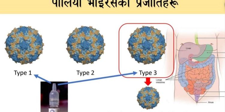 टुकुचा र बागमतीको पानीमा पोलियोको भाइरस–३ भेटियो : घर–घरमा पुगेर पोलियो थोपा खुवाइने