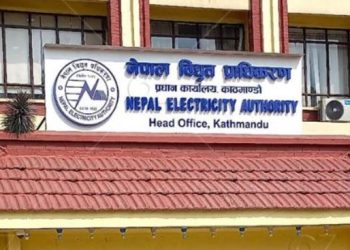 विद्युत् प्राधिकरणको सञ्चालक समितिमा कार्की र गुरुङ नियुक्त