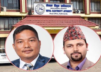 विद्युत् प्राधिकरणका दुई सञ्चालक पदमुक्त