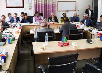 हवाई सुरक्षाबारे छानबिन गरी दोषीलाई कारबाही गर्न निर्देशन