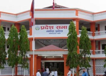 मधेश सरकार : ८ राज्यमन्त्री हटाइयो