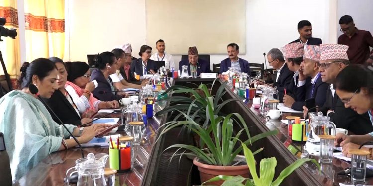 चेक बाउन्समा दोषी ठहर भए ५ प्रतिशत जरिवाना र २ वर्षसम्म जेल