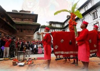 नवरात्रको सातौँ दिन, दशैं घरमा हर्षोल्लासका साथ फूलपाती भित्र्याइँदै