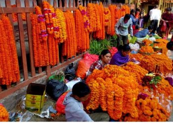 यस वर्षको तिहारमा ३८ करोड रुपैयाँको माला खपत हुने अनुमान