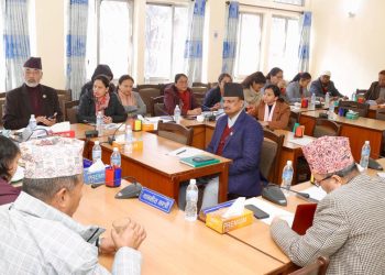 त्रिविको जग्गा तथा सम्पत्ति छानबिन समितिको प्रतिवेदन सार्वजनिक गर्न निर्देशन