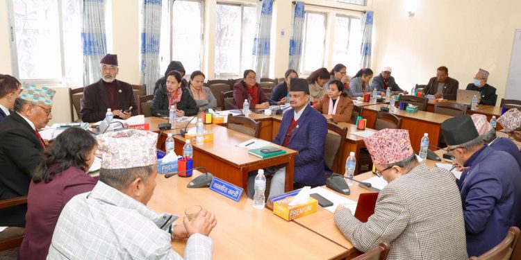 त्रिविको जग्गा तथा सम्पत्ति छानबिन समितिको प्रतिवेदन सार्वजनिक गर्न निर्देशन