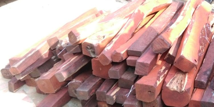 चार सय किलोबढी रक्तचन्दनसहित काँडाघारीबाट दुई जना पक्राउ