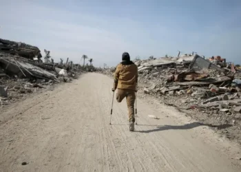 घर फर्किन थाले गाजाका बासिन्दा(तस्वीरहरू)