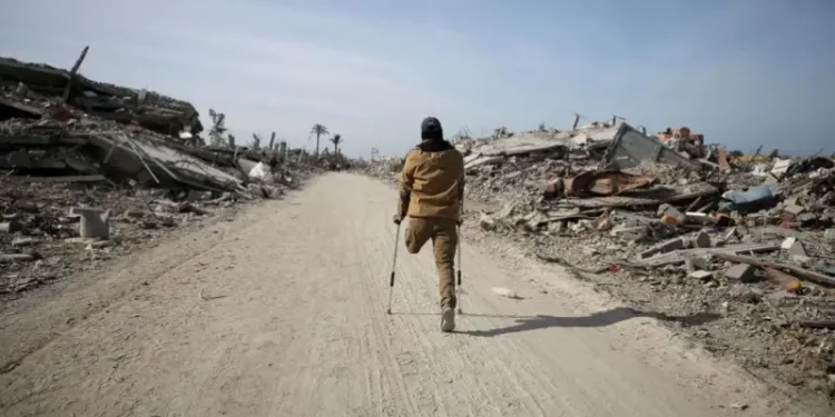 घर फर्किन थाले गाजाका बासिन्दा(तस्वीरहरू)