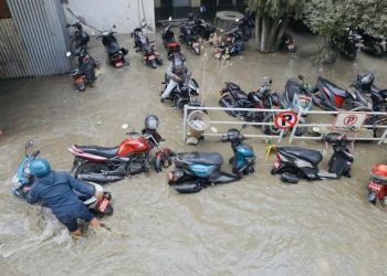 काठमाडौं बबरमहलको वन परिसर जलमग्न(भिडियोसहित)