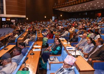 अन्तरजातीय विवाह गर्दा राज्यले ज्यादतीपूर्ण काम गरेको भन्दै सरकारको ध्यानाकर्षण