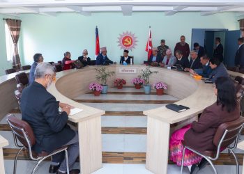 एमालेका जनसंगठन संरचनामा कटौती गर्ने निर्णय