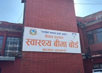 मनकामना मन्दिर दर्शन गरेर फर्कँदै गरेका यात्रु सवार माइक्रो बस दुर्घटना