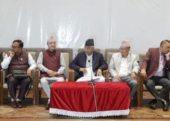 भिजिट भिसा प्रकरणमा गृहमन्त्री लेखक निर्दोष : कांग्रेस