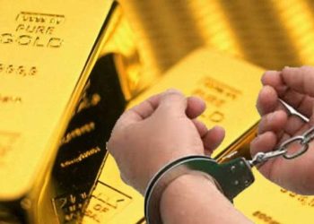 रसुवामा ठूलो परिमाणमा सुन बरामद