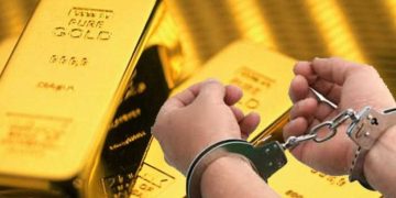 रसुवामा ठूलो परिमाणमा सुन बरामद