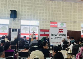 कांग्रेस केन्द्रीय समितिको बैठकः १३ एजेण्डामा छलफल हुने