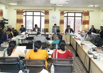 गैरआवासीय नेपालीलाई राज्यका निकायले चिन्ने नेपाली नागरिकता दिन माग