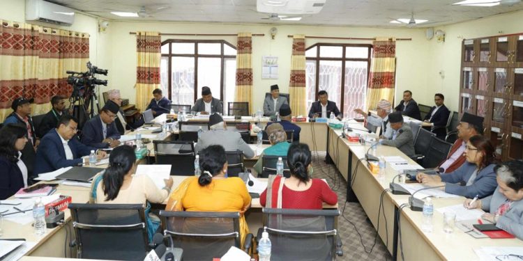 गैरआवासीय नेपालीलाई राज्यका निकायले चिन्ने नेपाली नागरिकता दिन माग