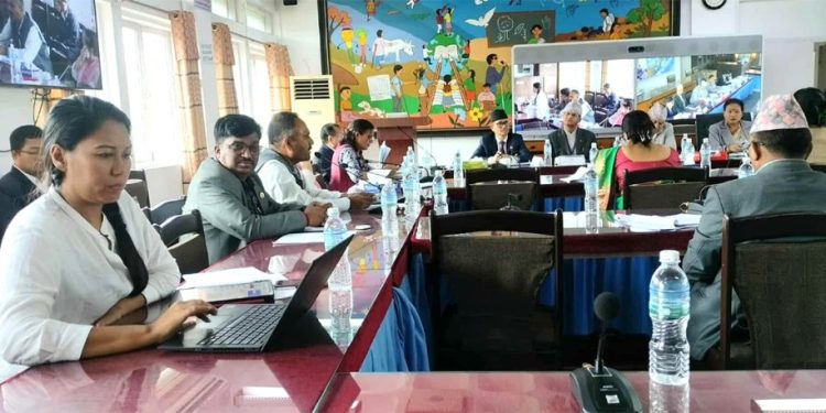 सांसद सुमना श्रेष्ठको टिप्पणी : ‘हेलिकप्टरबाट हेरेर मधेशमा पानी आउँदैन’