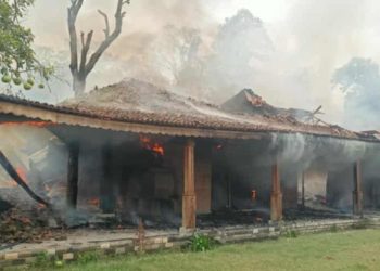 गैंडाकोटको बगैंचा एडभेन्चर रिसोर्टमा भीषण आगलागी