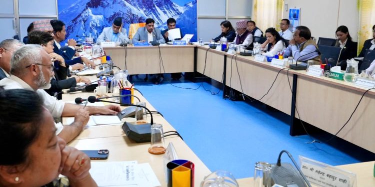 सहज रूपमा रासायनिक मल वितरणको प्रबन्ध गर्न सरकारलाई निर्देशन