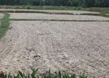 मधेशको सुख्खाग्रस्त क्षेत्रको अवलोकन भ्रमणमा प्रधानमन्त्री ओली(फोटो फिचर)