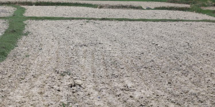 मधेशको सुख्खाग्रस्त क्षेत्रको अवलोकन भ्रमणमा प्रधानमन्त्री ओली(फोटो फिचर)