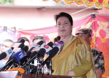 ठूला दलहरूले नै संविधानमाथि प्रश्न उठाए, संशोधनको कुरा गर्छन् छलफल छैन : पूर्वराष्ट्रपति भण्डारी