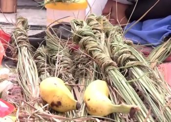 कुशे औँसी तथा मोती जयन्ती आज देशभर मनाइँदै