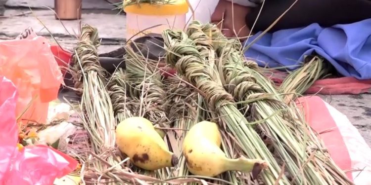 कुशे औँसी तथा मोती जयन्ती आज देशभर मनाइँदै