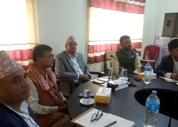 चोरीपैठारी रोक्न गृहमन्त्री लेखकको निर्देशन