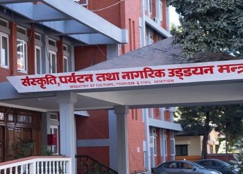 जहाज खरिददेखि मर्मतसम्मको छानबिन गर्न समिति गठन, ३० दिनभित्र प्रतिवेदन बुझाउनुपर्ने