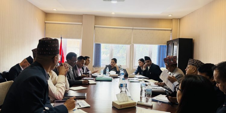 सहकारीपीडितको पैसा फिर्ता गराउन छलफलमा जुटिन् मन्त्री रावल