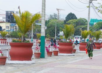 सहरलाई सुन्दर बनाउन सडक किनारामा गमलामा फूल रोप्दै काठमाडौंं महानगर