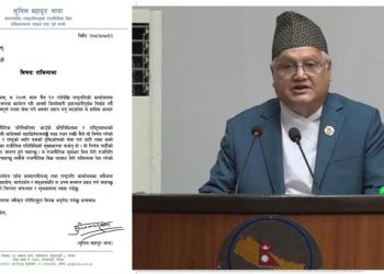 राष्ट्रपतिका राजनीतिक विज्ञ थापाले दिए राजीनामा, सक्रिय राजनीतिमा फर्किने