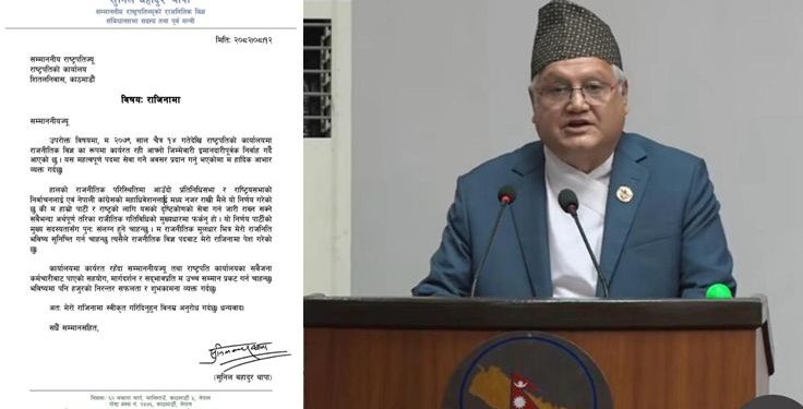 राष्ट्रपतिका राजनीतिक विज्ञ थापाले दिए राजीनामा, सक्रिय राजनीतिमा फर्किने