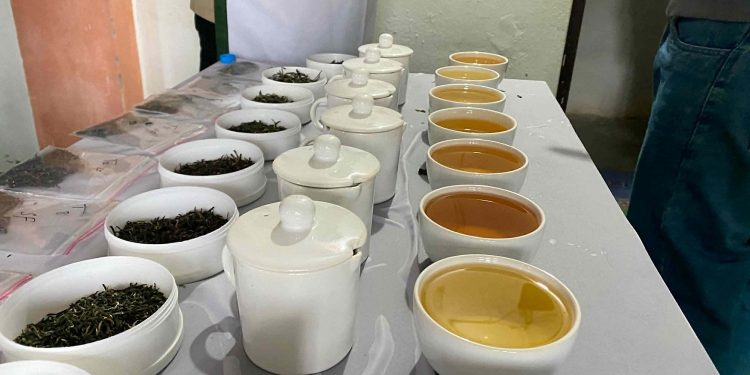 गण्डकी प्रदेशको चिया उत्कृष्ट, राष्ट्रिय प्रतियोगितामा बागलुङको गोल्डेन टि प्रथम